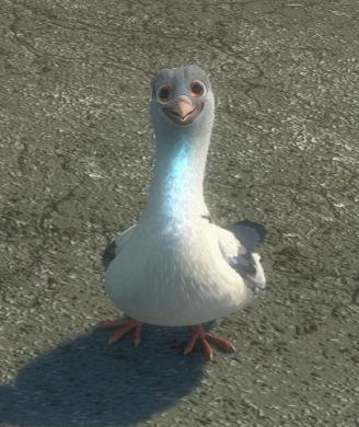 homing_pigeon.jpg