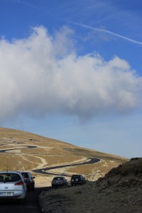 IMG_8575